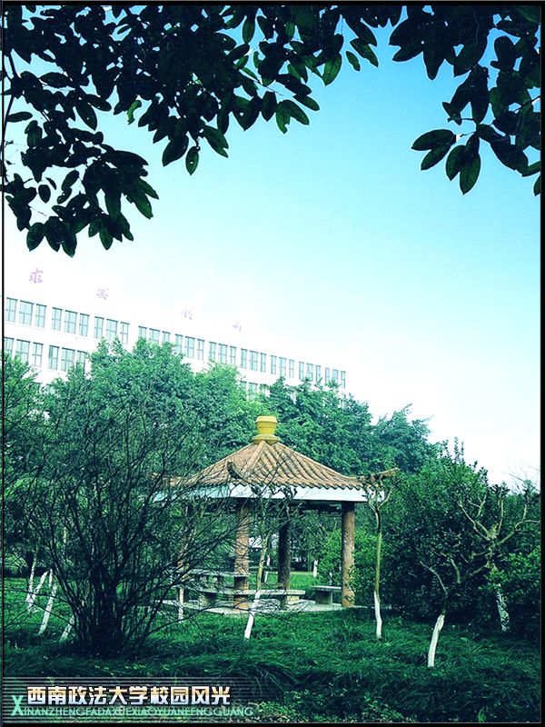 西南政法大学自考