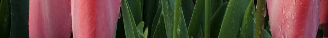 Կܿ290