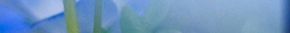 Կܿ499