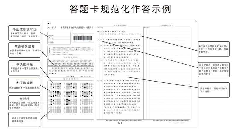 规范化作答示例