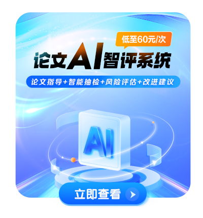 论文