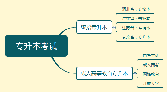 专升本考试