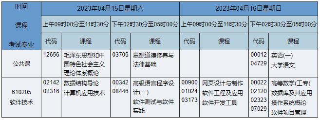 610205 软件技术