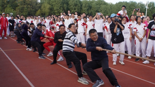 图片19.JPG