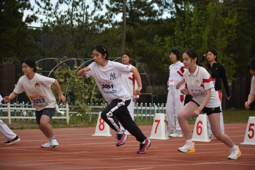 图片26.JPG