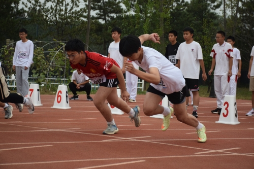 图片27.JPG