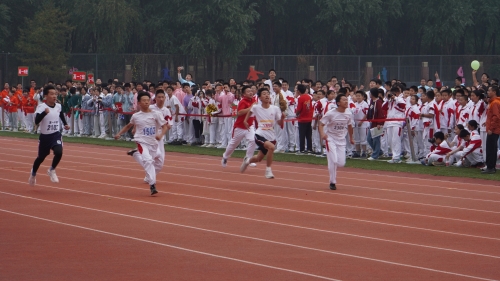 图片29.JPG