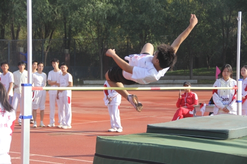 图片35.JPG