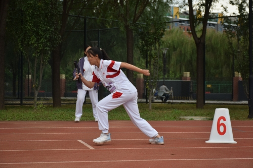 图片41.JPG