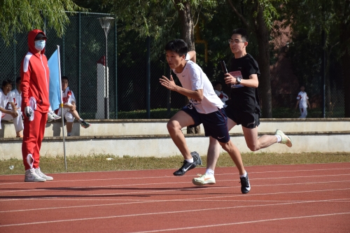 图片43.JPG