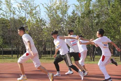 图片44.JPG
