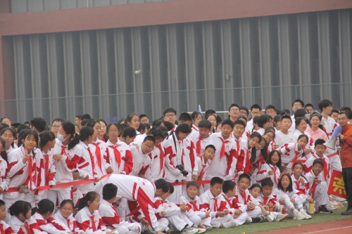图片58.JPG