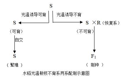 示意图 示意图